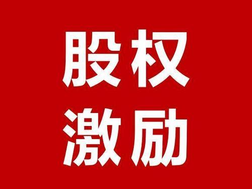 2021股权激励培训_股权激励方案设计