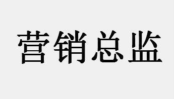 给营销总监培训什么课程？