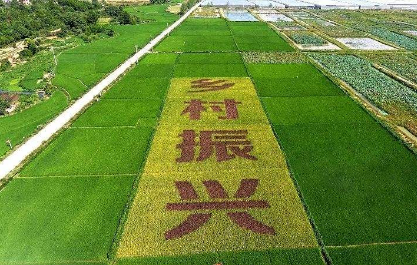 乡村振兴战略干部培训班课程内容介绍