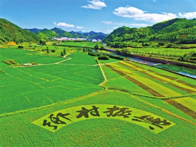 对接乡村振兴战略人才培训介绍