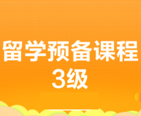 新航道留学预备课程3啥水平