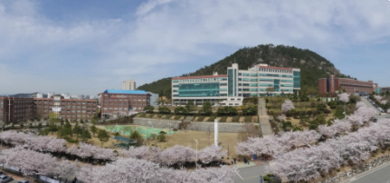 韩国白石大学被国家承认吗？