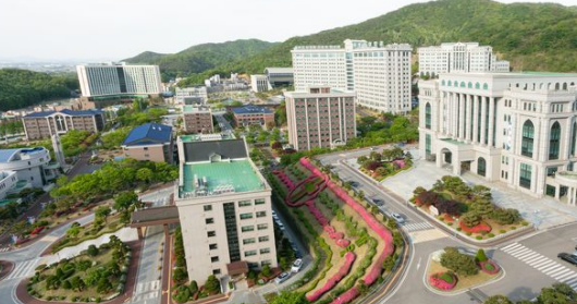 韩国白石大学百科介绍