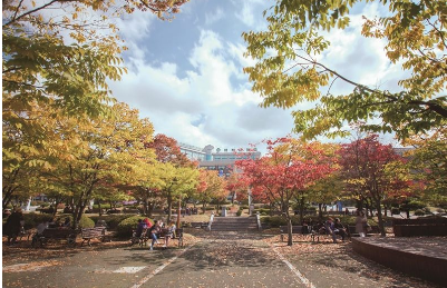 韩国白石大学在那