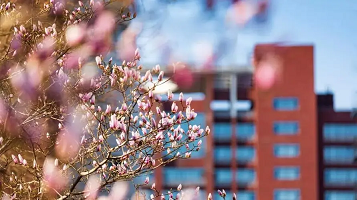 学校管理业务培训班