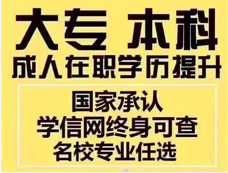 本科学历还可以参加成人高考吗