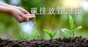 碳排放管理师的级别