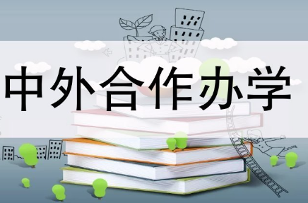 中外合作办学硕士录取方式有哪些？