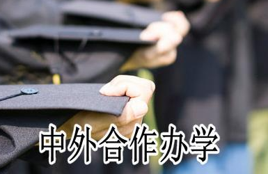 2023年中外合作办学硕士招生院校介绍