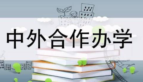 2023年中外合作办学金融硕士优势有哪些？