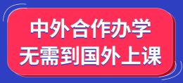 福建中外合作办学硕士项目介绍