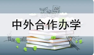 2023中外合作办学硕士详询