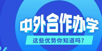 有哪些大学是中外合作办学的金融专硕大学？