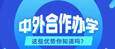 高校中外合作办学什么意思？