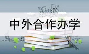 上中外合作办学大学到底值不值？