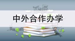 中外合作办学硕士工资待遇怎么样？