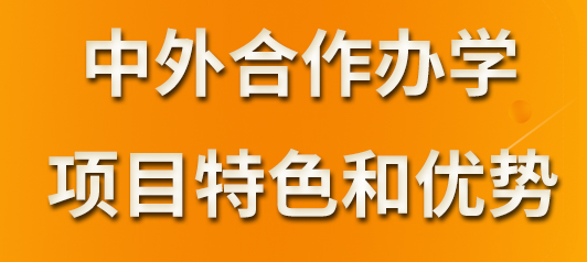 中外合作办学硕士研究生有哪些优势？