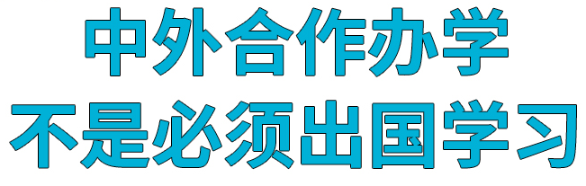 硕士中外合作办学优势有哪些？