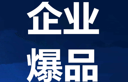 2023小米谷仓爆品战略培训介绍