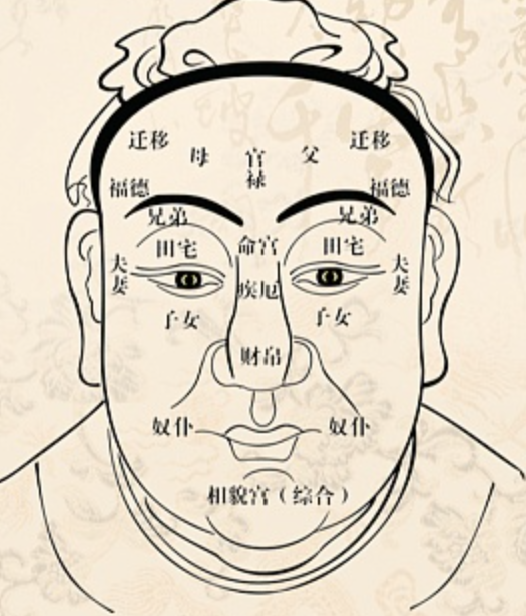 面相学谁讲的好