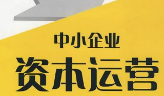 资本运营——实现企业价值最大化的策略