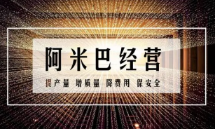 阿米巴商学院胡八一介绍