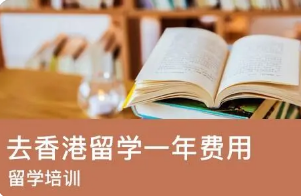 香港恒生大学留学费用多少？