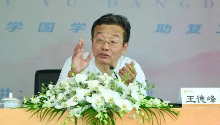 2024年阳明心学培训机构评价：王德峰教授主讲