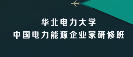 2024年清洁电力能源培训