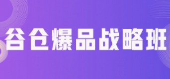 谷仓爆品总裁营价格多少？