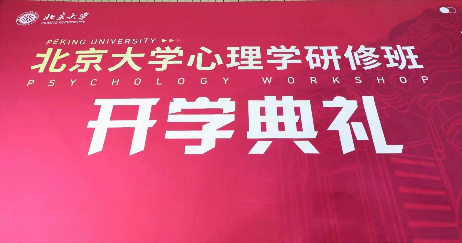 北京大学心理学研修班