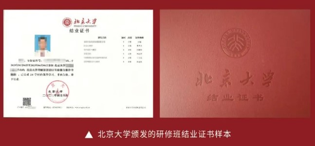 北京大学艺术史与艺术品投资收藏研修班