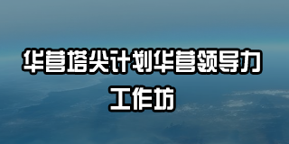 华为田涛咨询公司及课程介绍