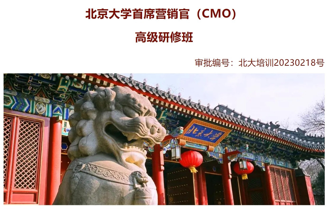 北京大学首席营销官（cmo）高级研修班