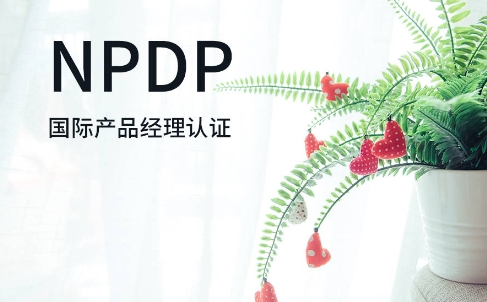 npdp经理是什么？