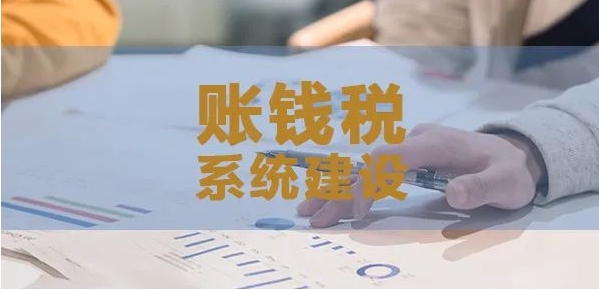 【财务咨询】企业“账钱税”系统建设！界一咨询