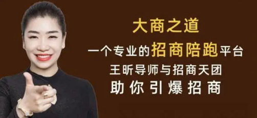 王昕老师教你招商 | 招商系统理论“融·招·养”实战派专家